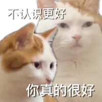 https://images.plurk.com/7iINGC54etlDieDpKkmZUq.jpg