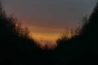https://images.plurk.com/7iLNQ6Lw0RHfzcqjRZnCly.jpg