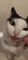 https://images.plurk.com/7iLk0Ok9Pwk2ZAXXFtwNWu.png