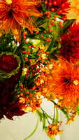 https://images.plurk.com/7iWAOK6OXOwS9gGeXnF6fP.jpg