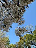 https://images.plurk.com/7irT5ir0TFD6a0tdyPSRLf.jpg