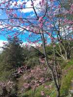 https://images.plurk.com/7ivrPofJ8Vtjy7m4B97Ihx.jpg