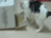 https://images.plurk.com/7iwS9Rllj7nDjbIkwjnkMr.jpg