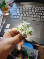 https://images.plurk.com/7ixI8qmYHUDLcjUR22qK9e.jpg