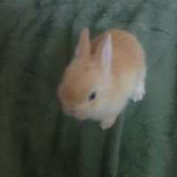 https://images.plurk.com/7j17ZtDlnJfIDxySITbgRj.jpg