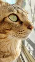 https://images.plurk.com/7j6lklGEwGVdAdHehJ5uZN.jpg