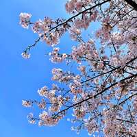 https://images.plurk.com/7j8CDMnERBSpXRmd9V7TBg.jpg