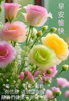 https://images.plurk.com/7jIFXIJAFgdzRtDdq49rn5.jpg