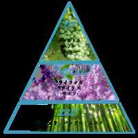 https://images.plurk.com/7jKBCC49xnLPYNlG8RCUDe.png