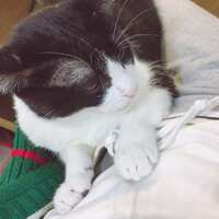 https://images.plurk.com/7jQvbAlh2pHhFAqLPi2UR9.jpg