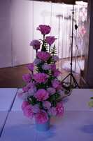 https://images.plurk.com/7jVLS8d5RRke9kbQsJp5uX.jpg