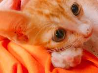 https://images.plurk.com/7jcQ7JRCHkxxKKm2CSDeJI.jpg