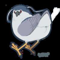 https://images.plurk.com/7jfErGJIXxFvYOJGTiarc.png