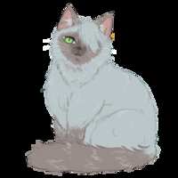 https://images.plurk.com/7jfp2HrznnhYaNVtIfGYEn.png