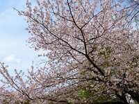 https://images.plurk.com/7jiBjFA0UwTCpPJcQjZTTx.jpg