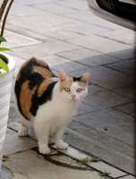 https://images.plurk.com/7jiopeYr5WKOXg7PlJJ9Dq.jpg