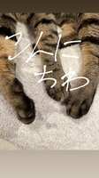 https://images.plurk.com/7jlR3jzm5sDLdCRSuURVZS.jpg