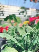 https://images.plurk.com/7jn7l7ABcA7IFFdhzoptx5.jpg
