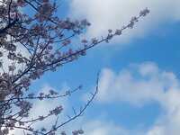 https://images.plurk.com/7jpfoTV9gGzvbbEVfRXGM.jpg