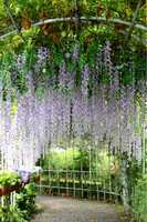 https://images.plurk.com/7jwTXCZY6xjLg6Vw0E3GqO.jpg
