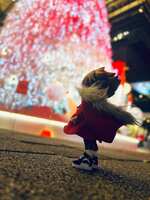 https://images.plurk.com/7jwfmHEpnFJUfQgdQJ6L59.jpg