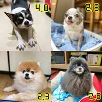 https://images.plurk.com/7jzP7AH0TbHn5ynqVF9vNA.jpg