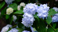 https://images.plurk.com/7jzkJCGA8py32ASrvKCb.jpg