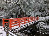https://images.plurk.com/7k1aJlas1AcCRffd6th0Lt.jpg