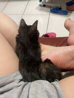 https://images.plurk.com/7k4bUWAsVeNzfmzATifmnu.jpg