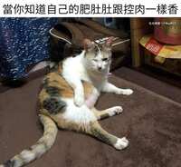https://images.plurk.com/7k4dCjh0XKZgk6QteeKdI1.jpg