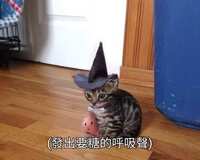 https://images.plurk.com/7kAbyTCc0ImhZnw2rDn7YY.jpg