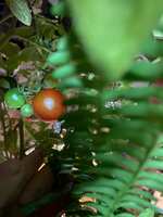 https://images.plurk.com/7kBi1LzJKYieTHARfwh6xI.jpg