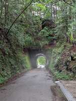 https://images.plurk.com/7kDdDvYJ9pdWzwUvRlEuHF.jpg