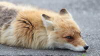 https://images.plurk.com/7kI2WIrCQxlUvvLBX3hgFB.jpg