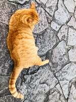 https://images.plurk.com/7kPhgjGiUXdX7lFq78q8eX.jpg