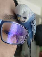 https://images.plurk.com/7kPkXxnvI3dd10lgWT3gk0.jpg