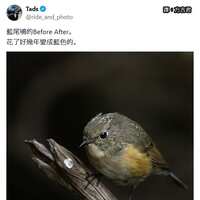 https://images.plurk.com/7kY7KFcu0RibsjdHSfaS6w.jpg