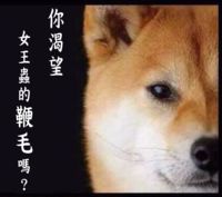 https://images.plurk.com/7kbTMpwV3hwa7h07bafbl8.png