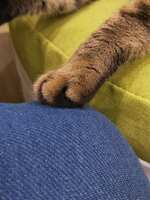 https://images.plurk.com/7kezqm0MzvR9kVaCuaMEqD.jpg