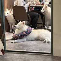 https://images.plurk.com/7kg7TVOA5NGs68ZAlUYoP4.jpg