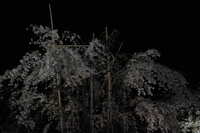 https://images.plurk.com/7ki2mtpi53TQzcJM40PNUc.jpg