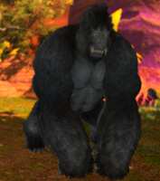 https://images.plurk.com/7kiPm9qjrGHpia4f7HsHWB.png