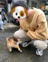 https://images.plurk.com/7ktoM5kumWpjbV0qXbizsv.jpg