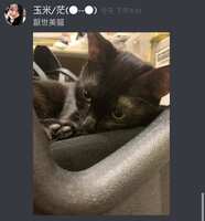 https://images.plurk.com/7kzHuhOpHAMDK65A1DeRyc.jpg
