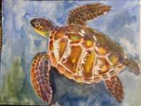 https://images.plurk.com/7l4AZ7lhTw1jYGZ6EwYRyH.jpg