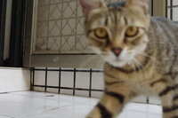 https://images.plurk.com/7l6TBNFKdoTUzWGvhIpL8x.jpg