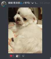 https://images.plurk.com/7lBkkNAwldklde5bkvPnMH.jpg