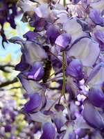 https://images.plurk.com/7lHIvc1E1dM0k7FRNdjRDQ.jpg