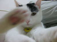 https://images.plurk.com/7lLSen7NtSoCKgeB6euhxC.jpg