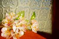 https://images.plurk.com/7lNhumYrYzkvmVXm0fmG8B.jpg